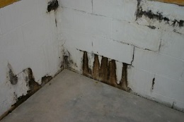 basement waterproofing Kansas City, KS