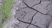 cracks in dirt